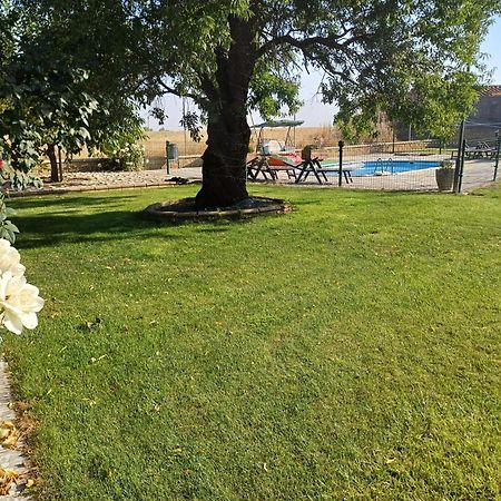 El Almendro Del Cura Βίλα Villarmayor  Εξωτερικό φωτογραφία